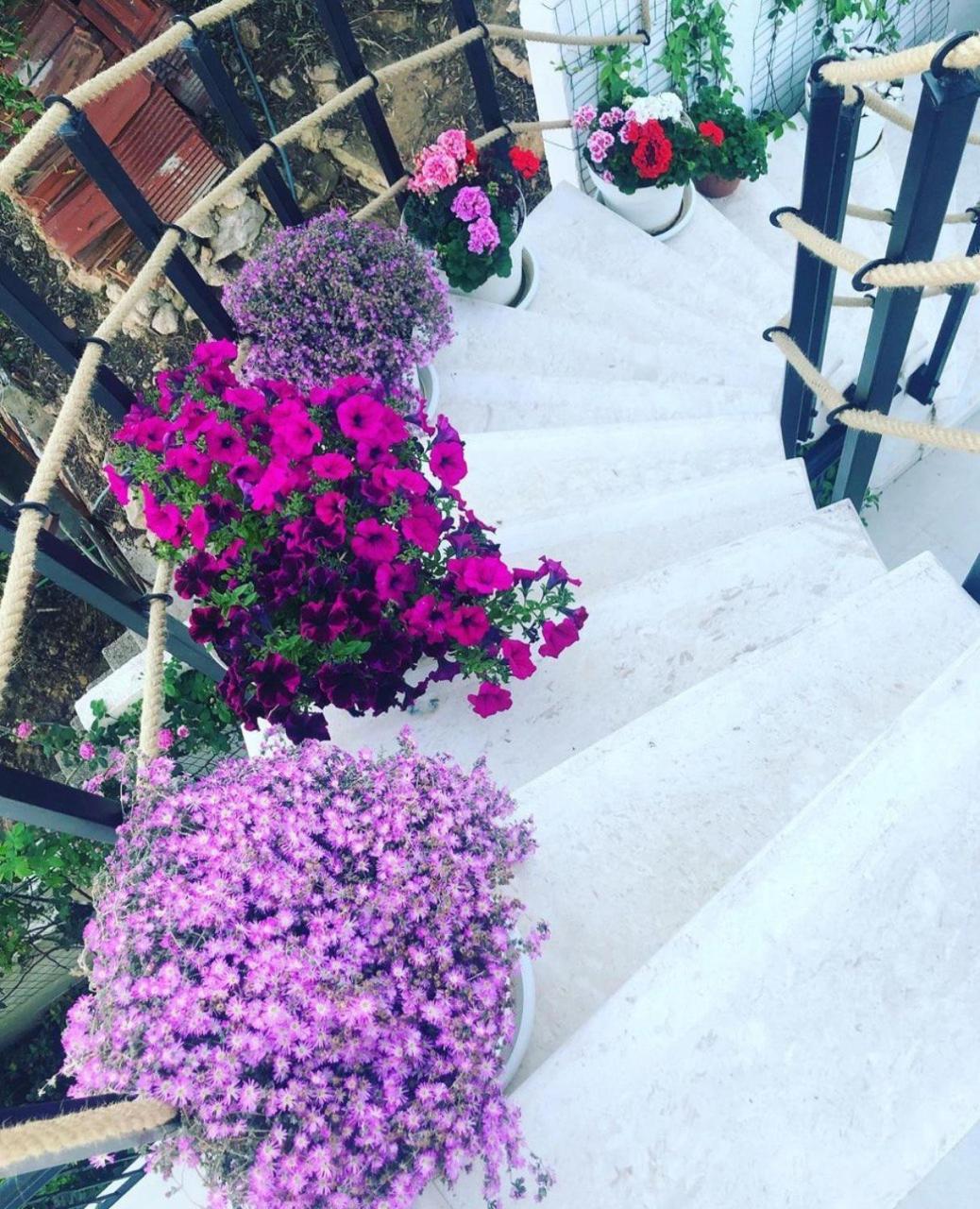 Villabijela21 Ulcinj Exteriör bild