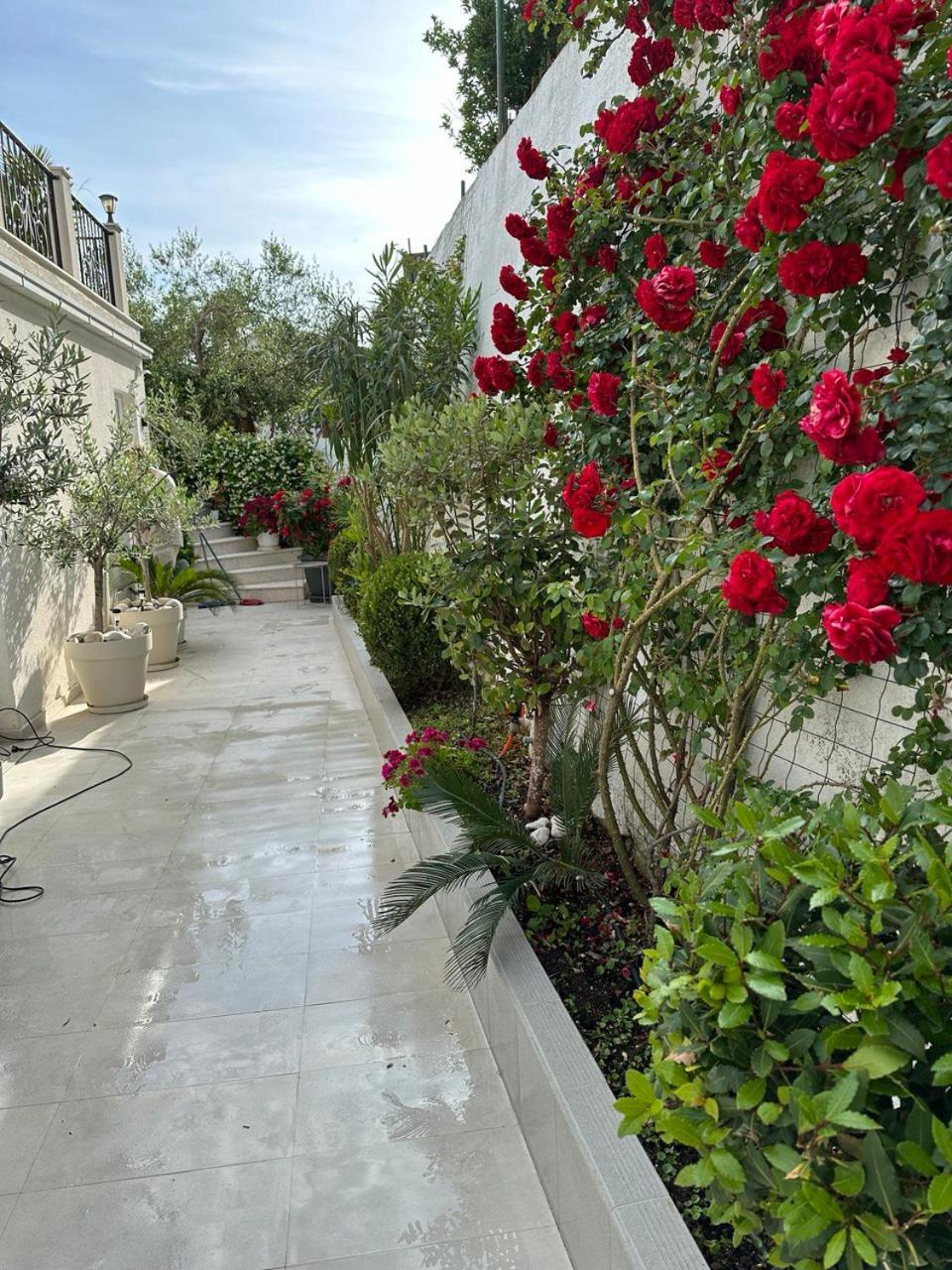 Villabijela21 Ulcinj Exteriör bild